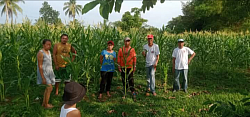 FARM OF CORN WITH MEMBERS