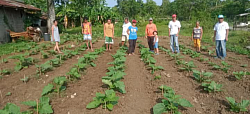 VEGESTABLE FARM WITH MEMBERS