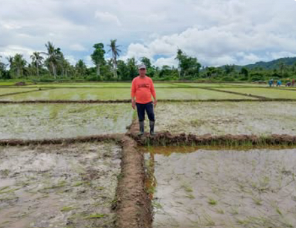 RICE FIELD