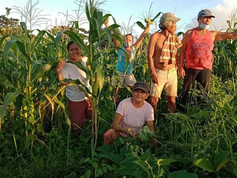 THE MEMBERS OF AMANLARA  IRRIGATORS ASSOCIATION