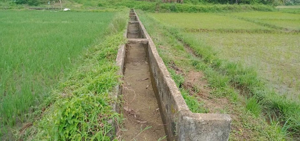 IRRIGATION AREA